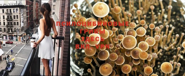 apvp Беломорск