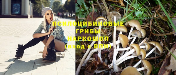 МДПВ Белоозёрский